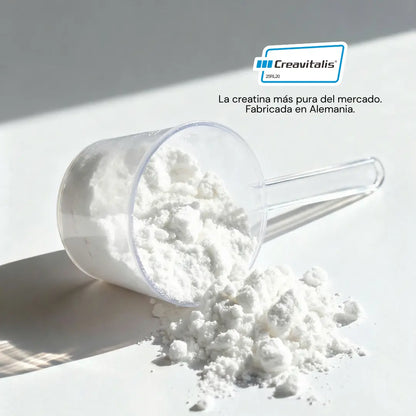 Vital Creatine, la creatina más eficiente para mujeres